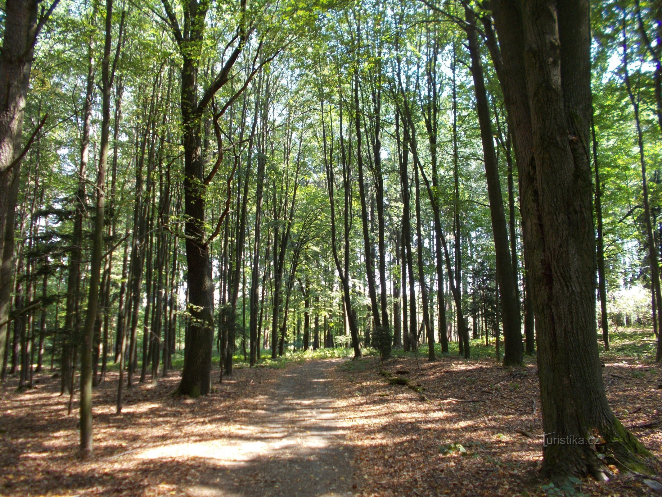 Camino a Kamenné potok