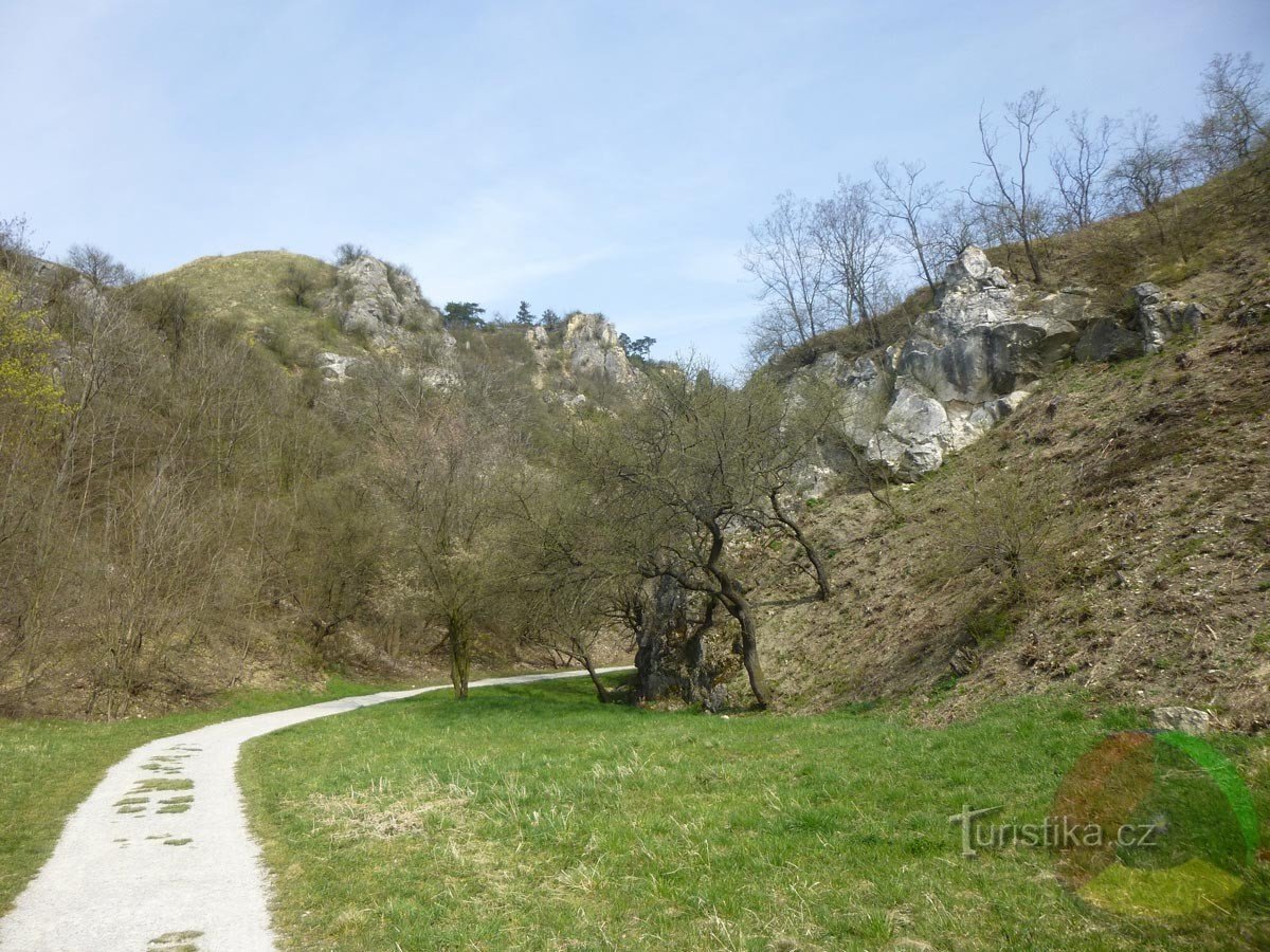 Le chemin de la carrière