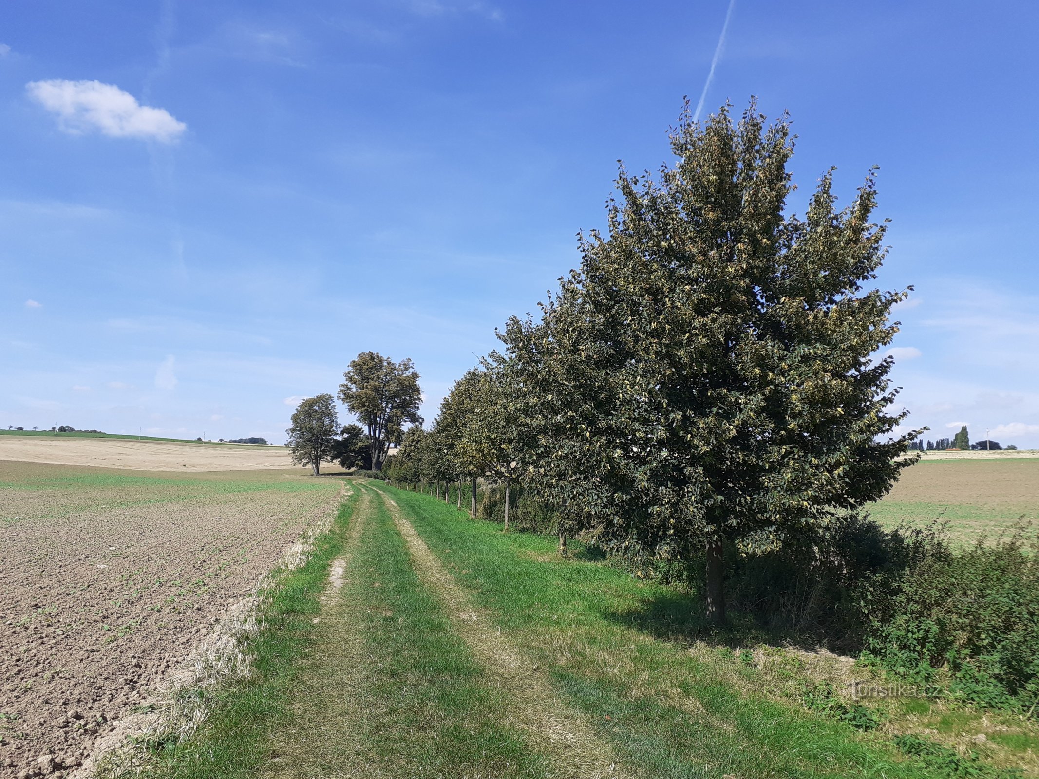 cesta ke kapli a studánce