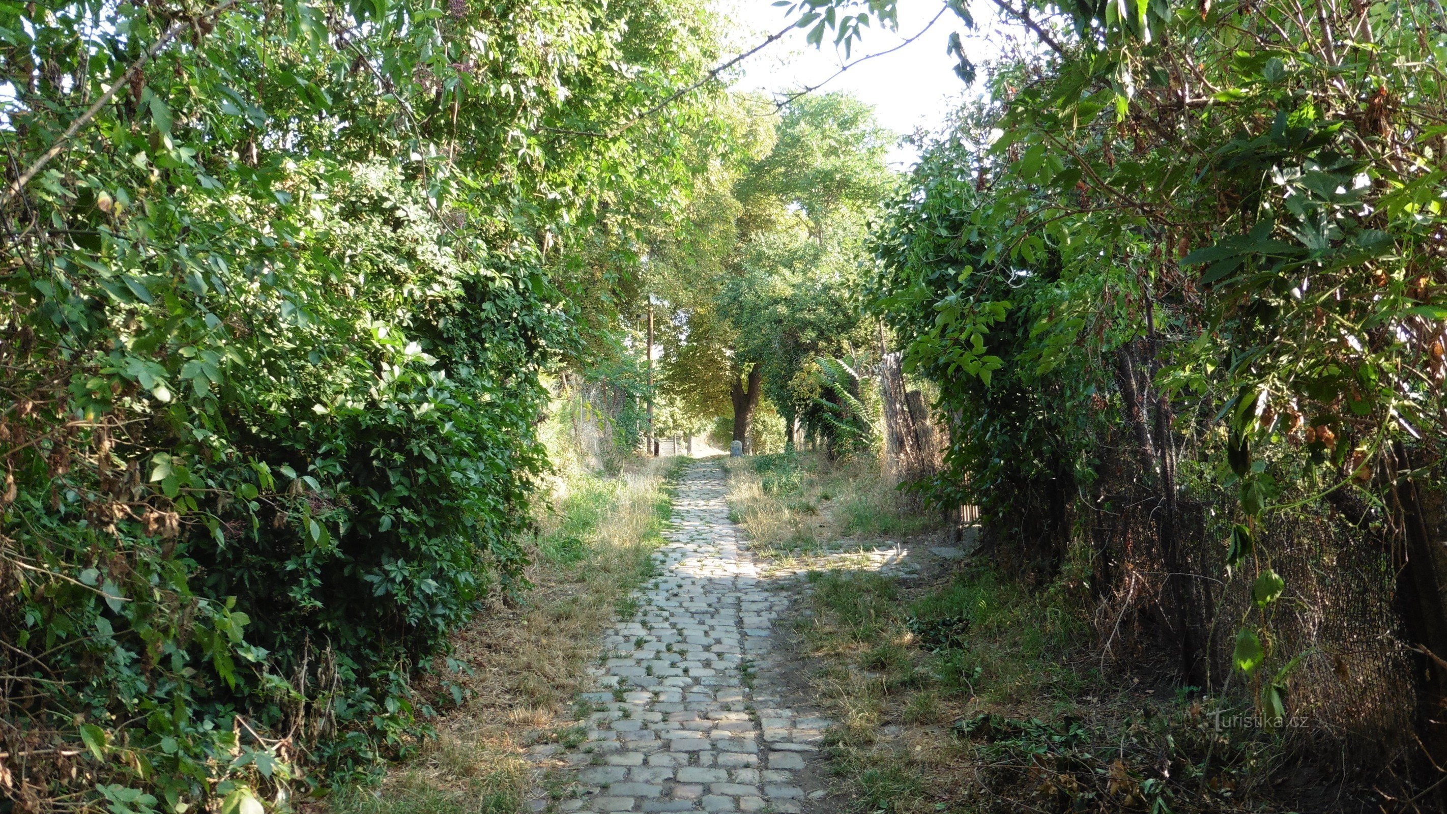 de weg naar de Kotlaska kolonie