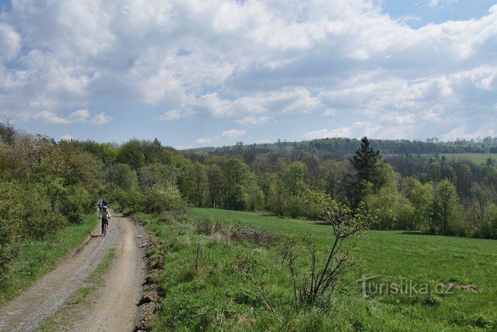 der Weg nach Strážná