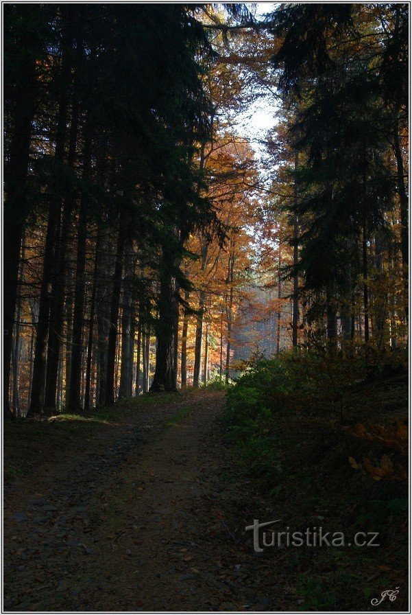 Der Weg zum Brunnen