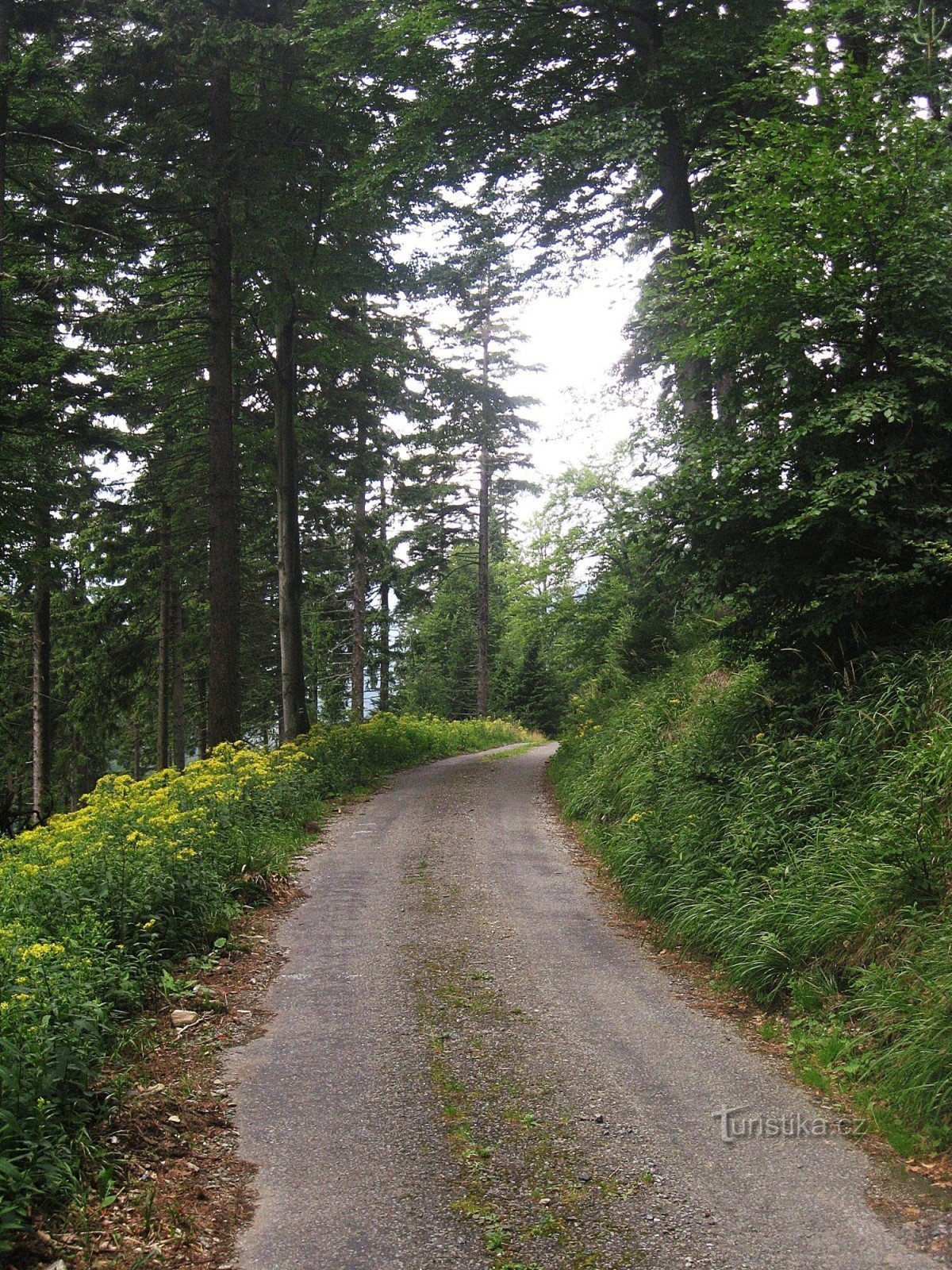 o caminho que desce da encruzilhada sob o campo de caça de Františková