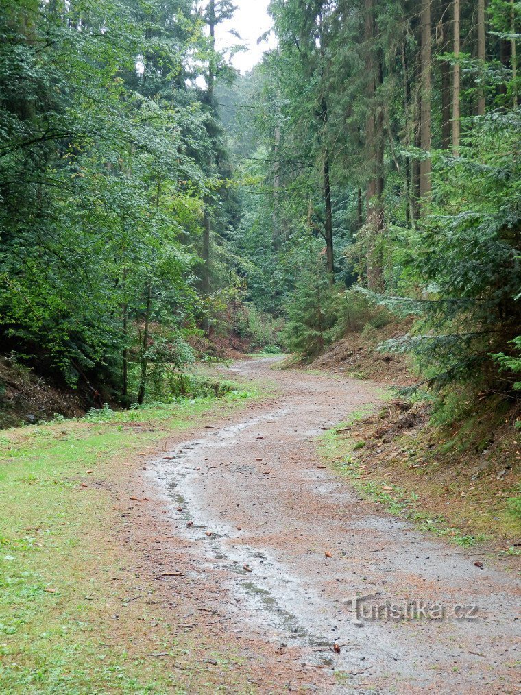 El camino a través del valle de Klopotovský