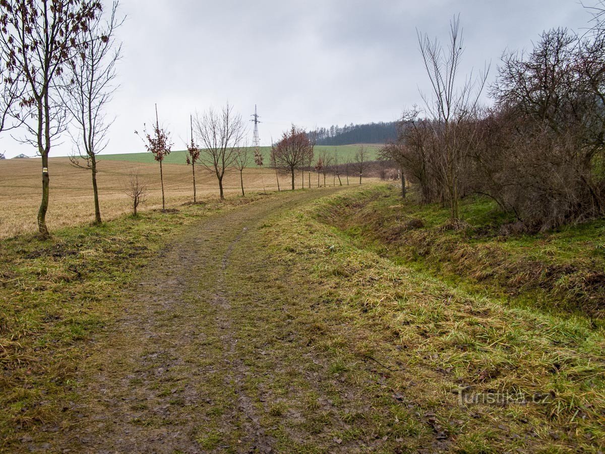 camino alrededor