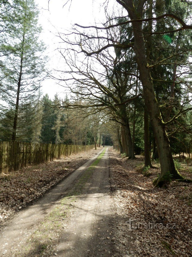 Le chemin autour du terrain