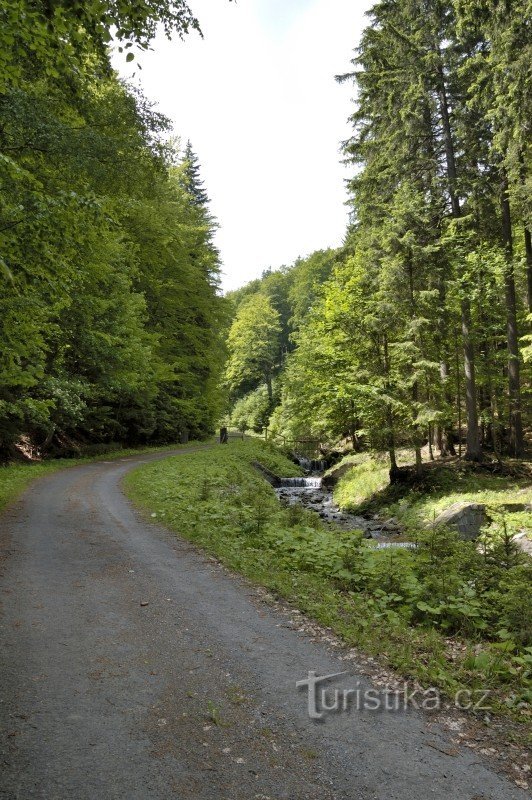 Le chemin autour de Sokolí potok