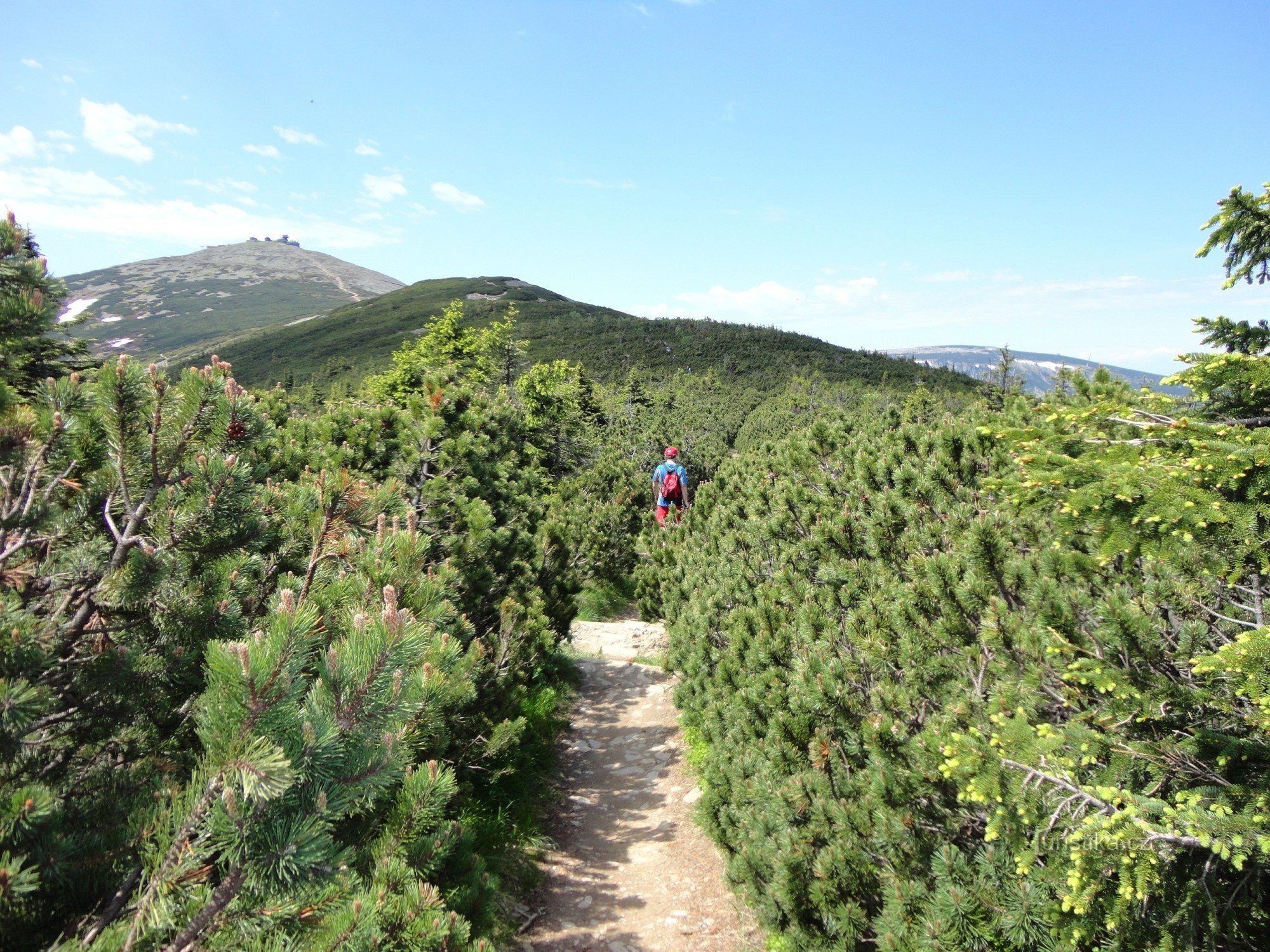 the path through the rhombus