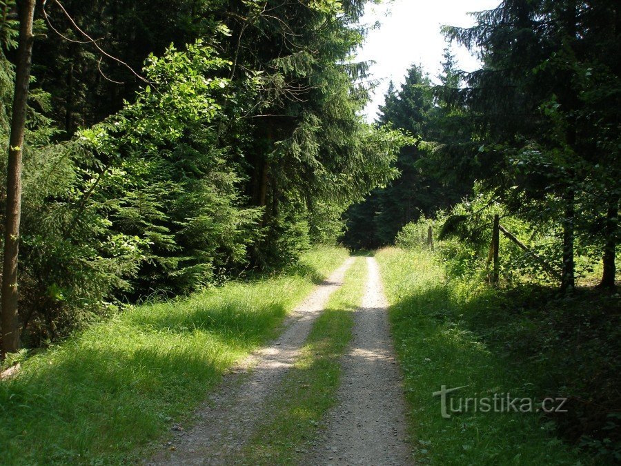 het pad tussen Kateřinské en Prženské paseks