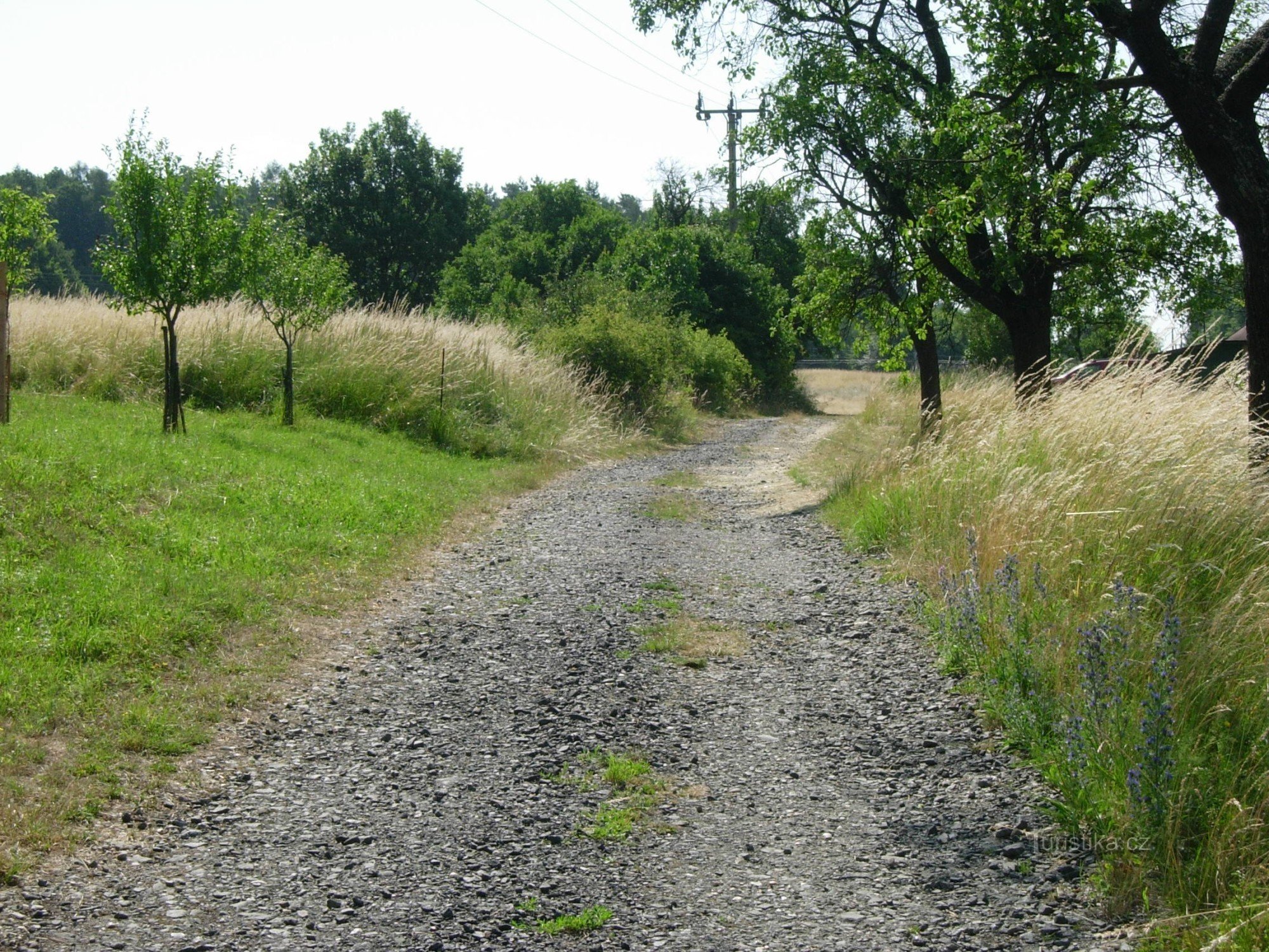 Kudlovské林间空地之间的路径