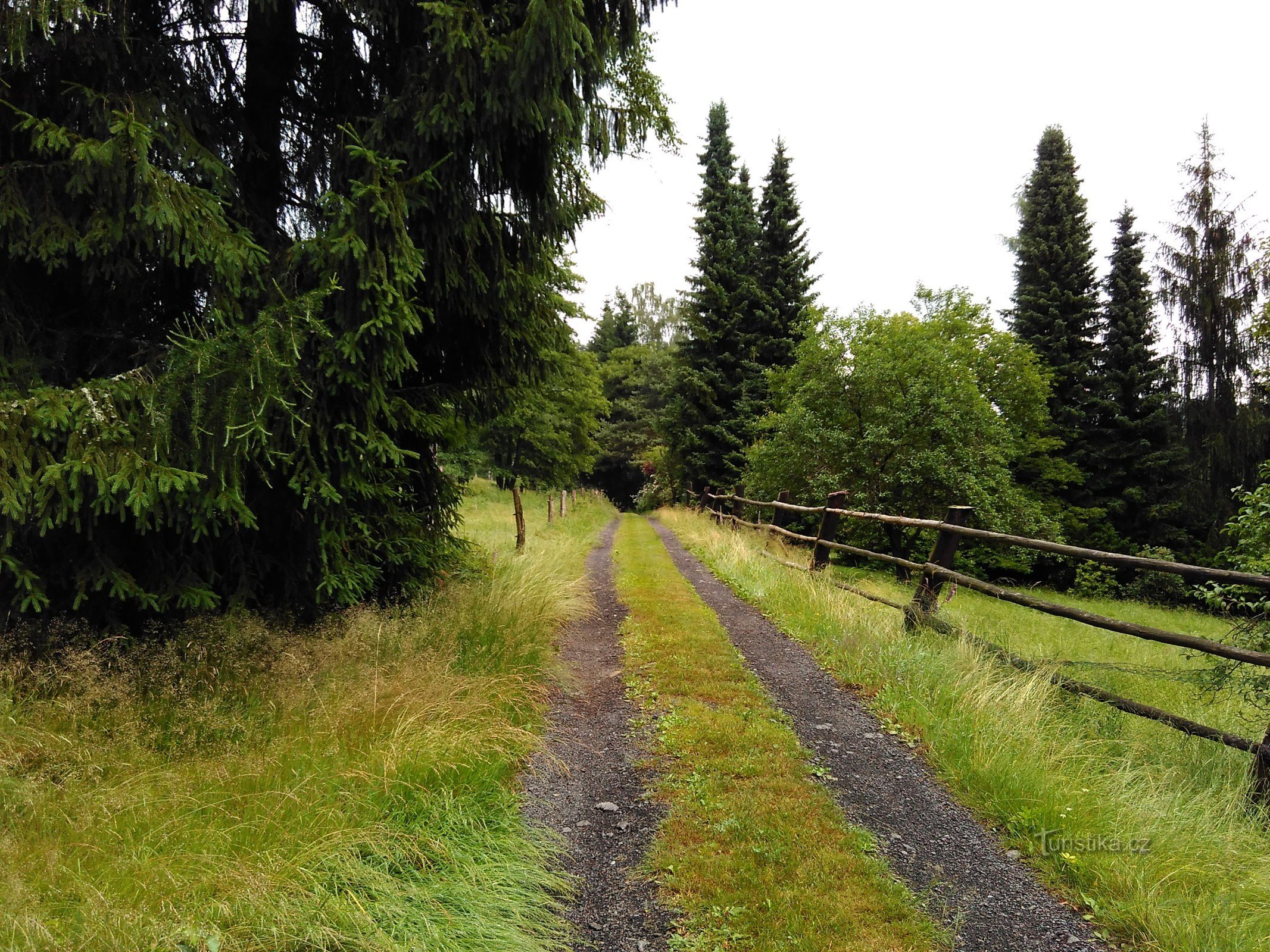 牧草地の間の道