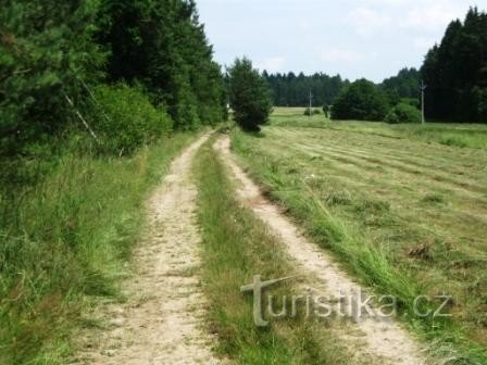 De weg tussen Rakovice en Myštice