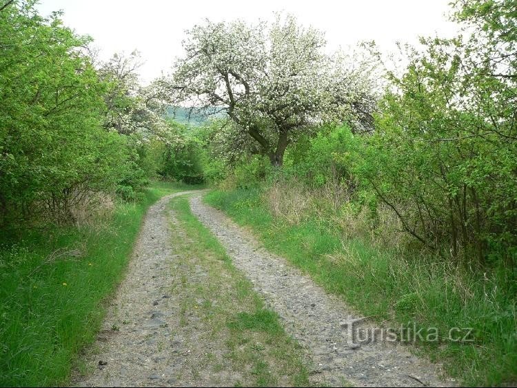 Calea între seturi