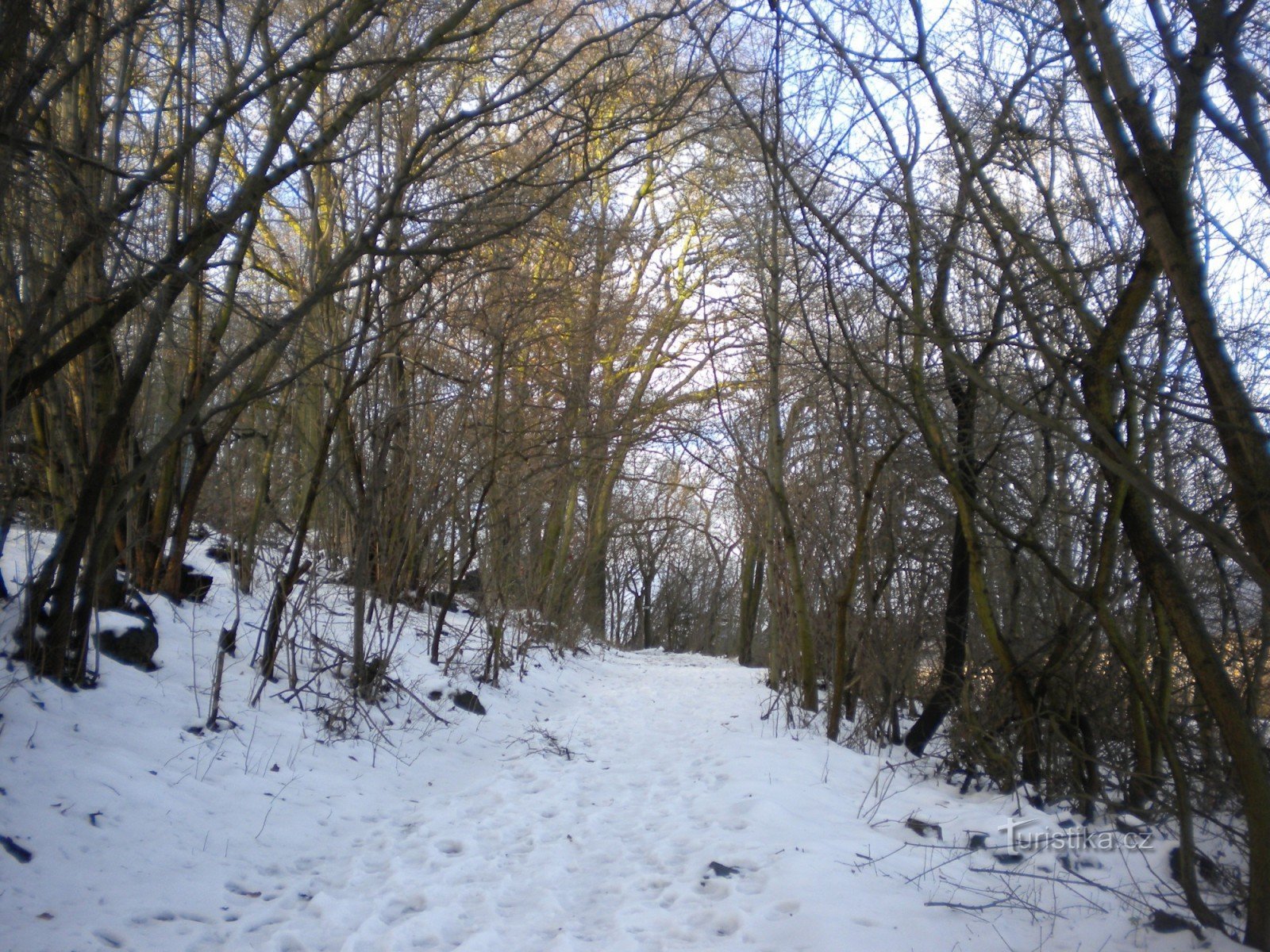 Weg nach Boreč.