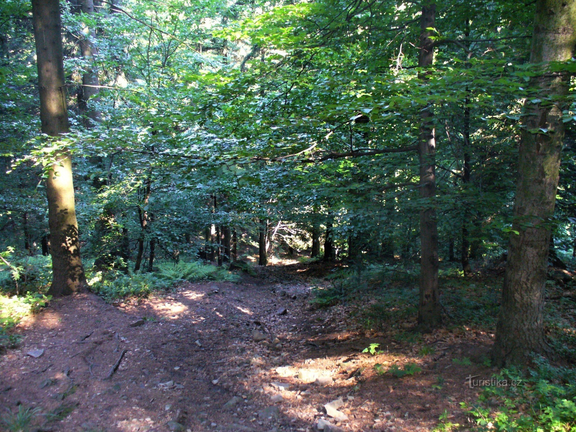 Estrada para a Montanha Negra