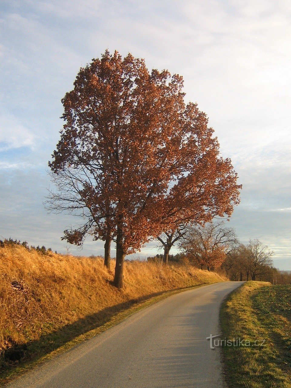 Straße nach Harazim