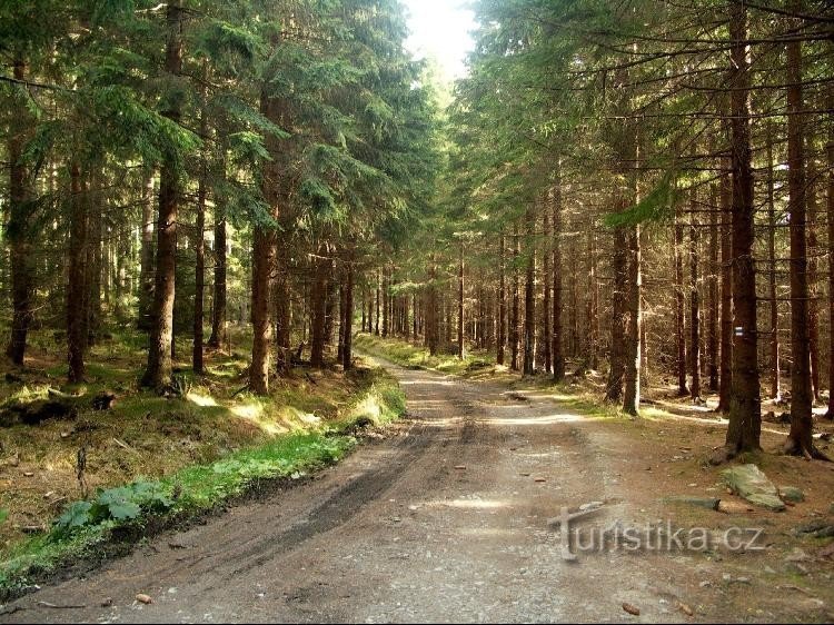 Route vers la haute vallée