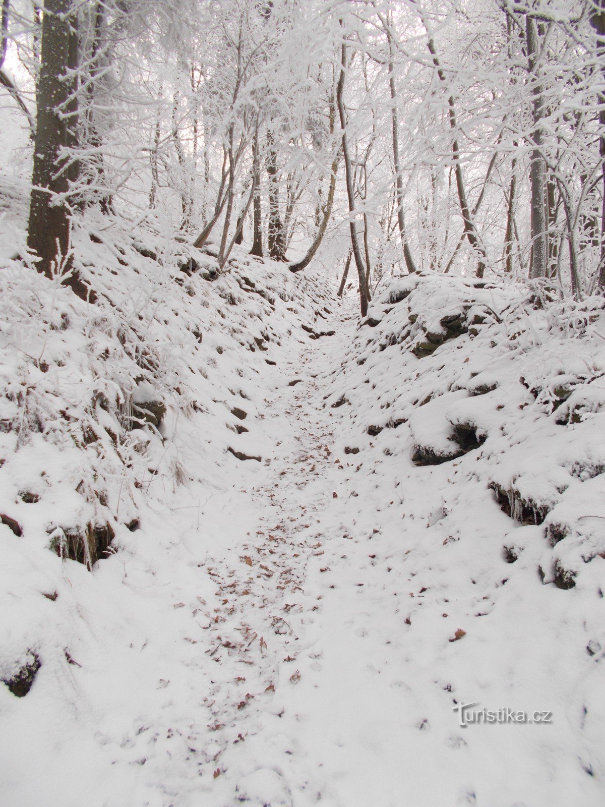 Der Weg zum Berg.