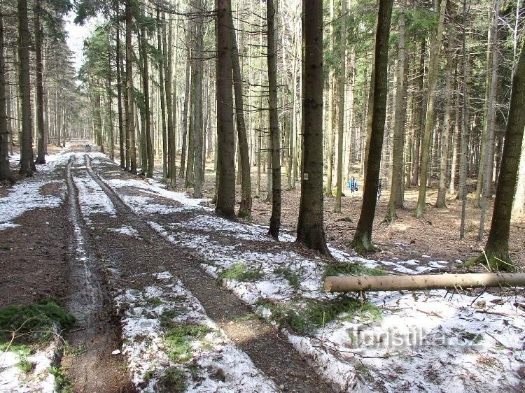 Cesta na hranici rezervace