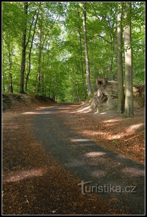 La strada per la ruvida roccia