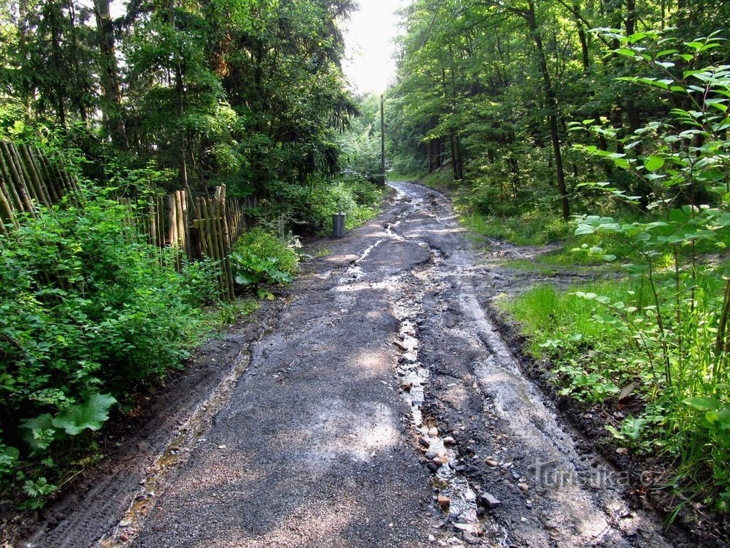 Route vers Hvíždinec