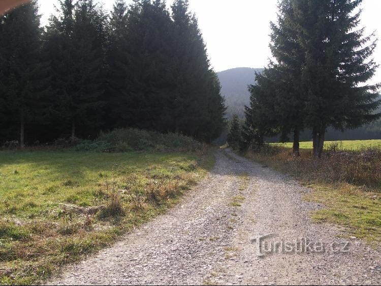 Camino a Koberštejn