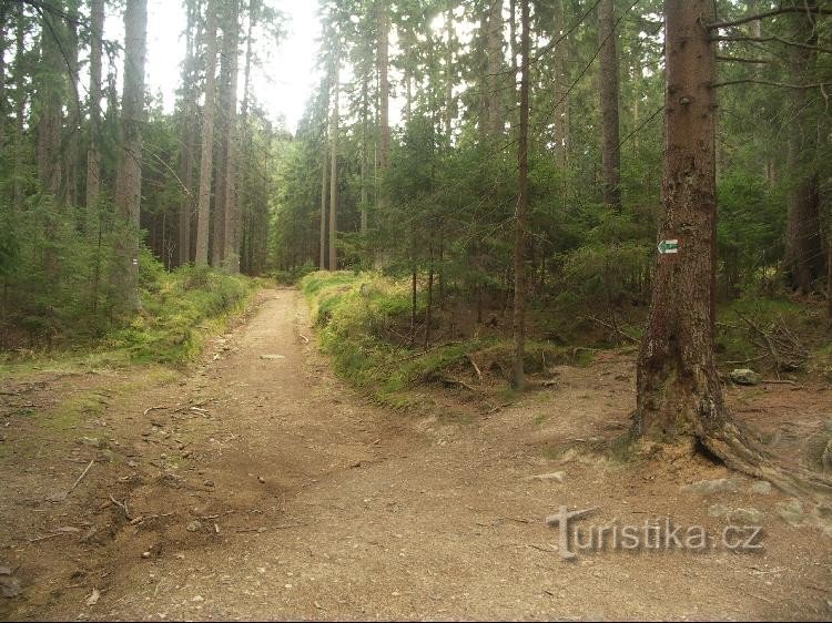 Weg naar Koberštejn