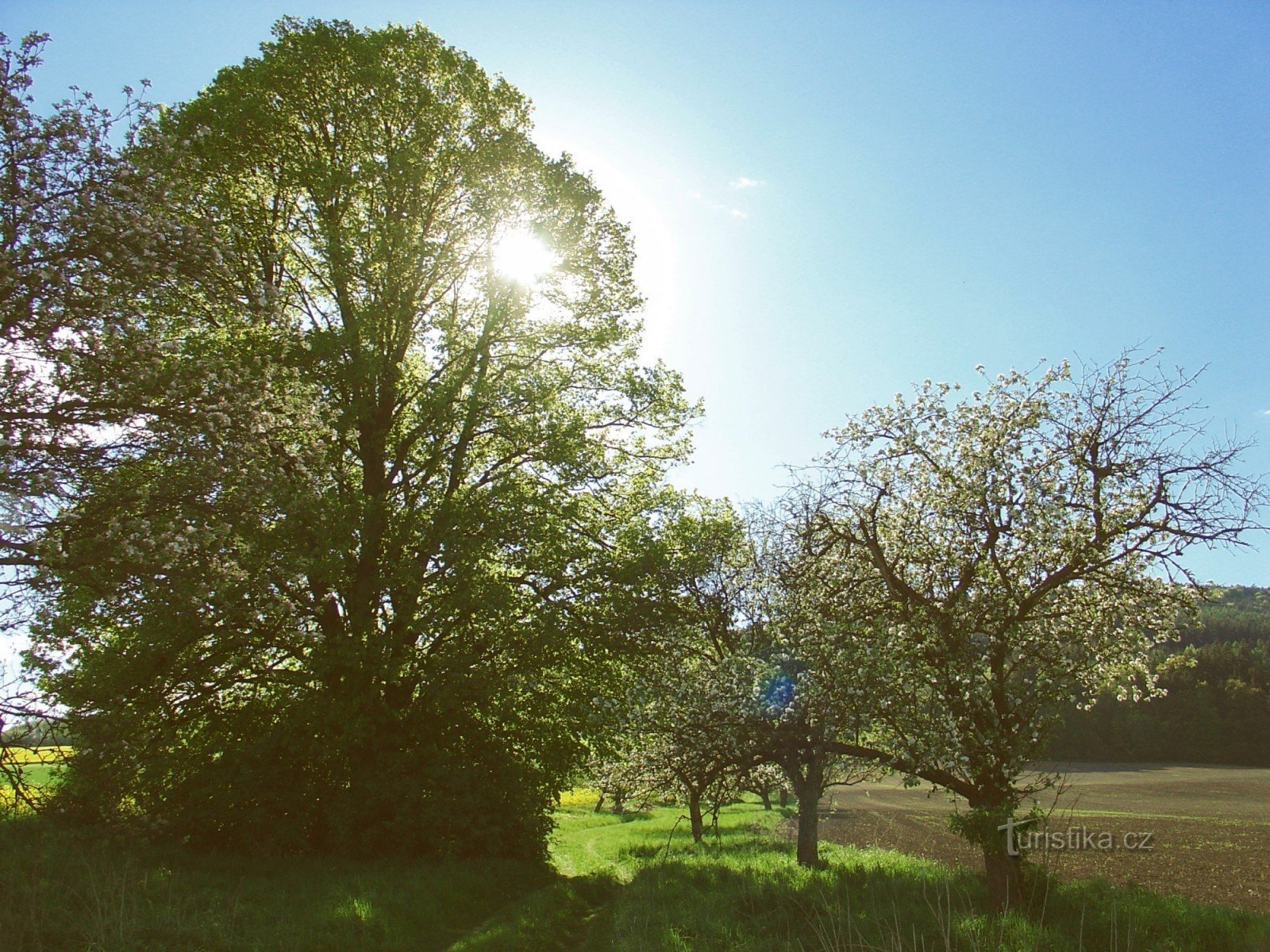 Road to Hušák hill 1