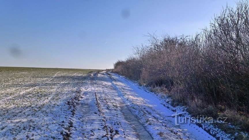 rejse til Kozinec fra Škudel