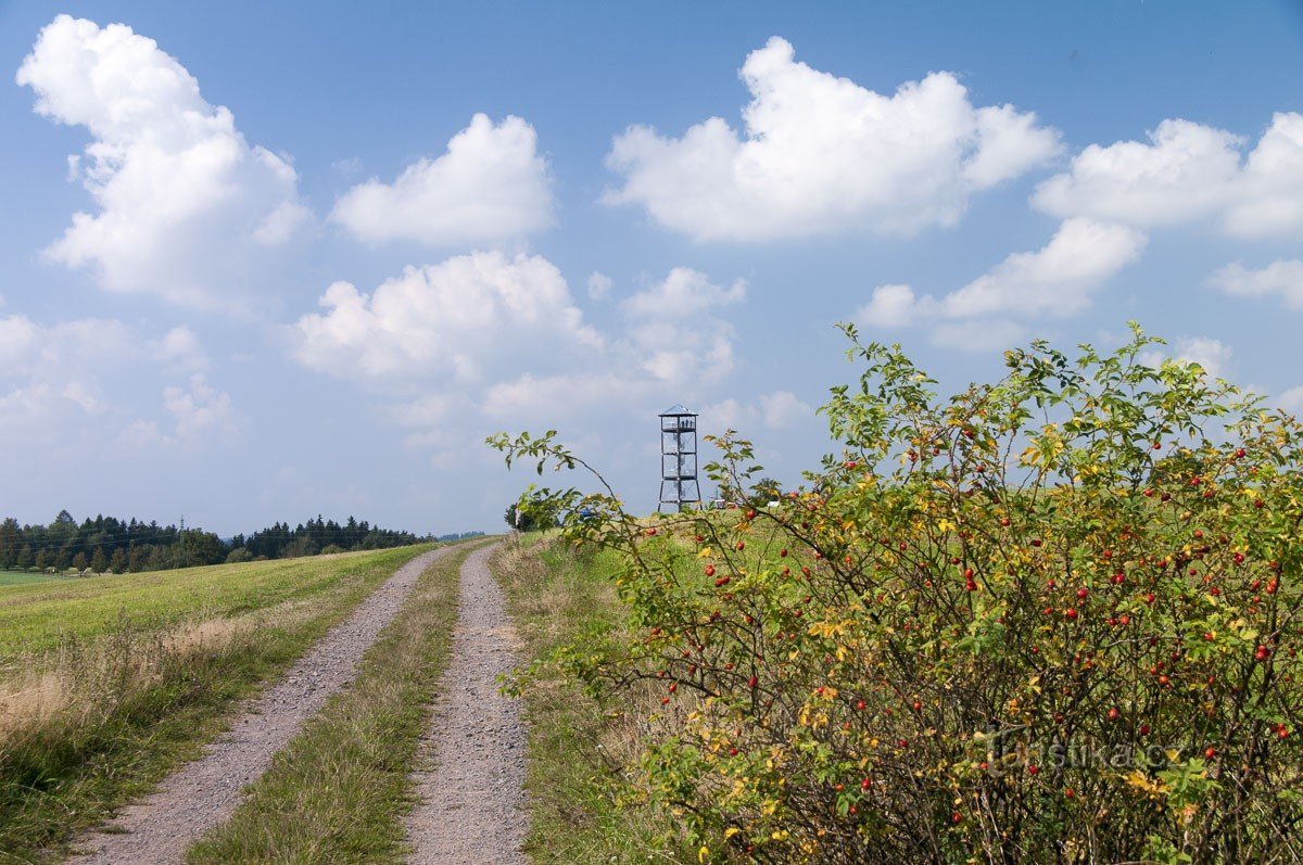 Weg zum Křížový vrch