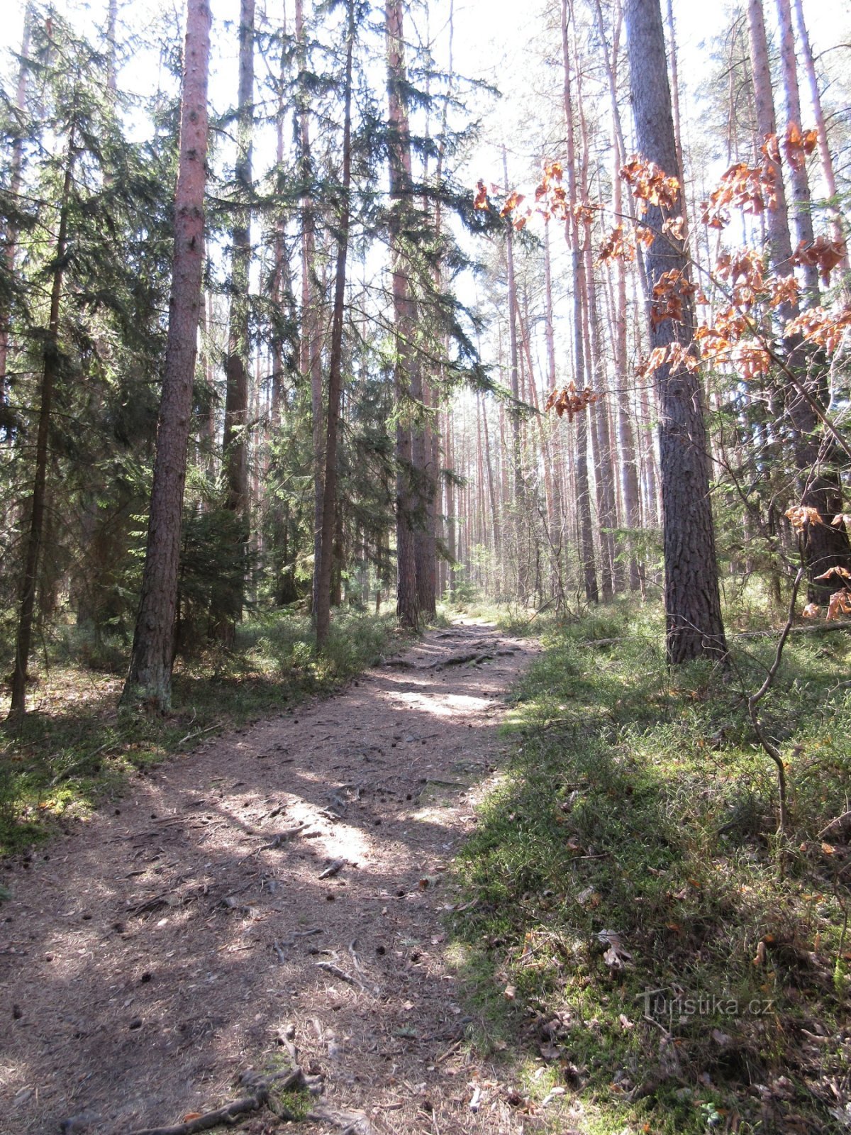 Straße nach Krkavec