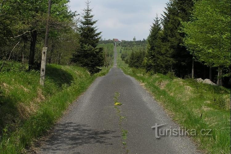 cesta za Lichtewald: pogled s ceste