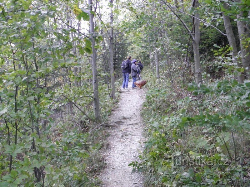 le chemin de Lysa