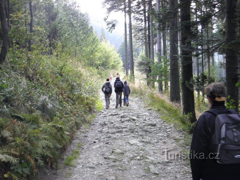 le chemin de Lysa