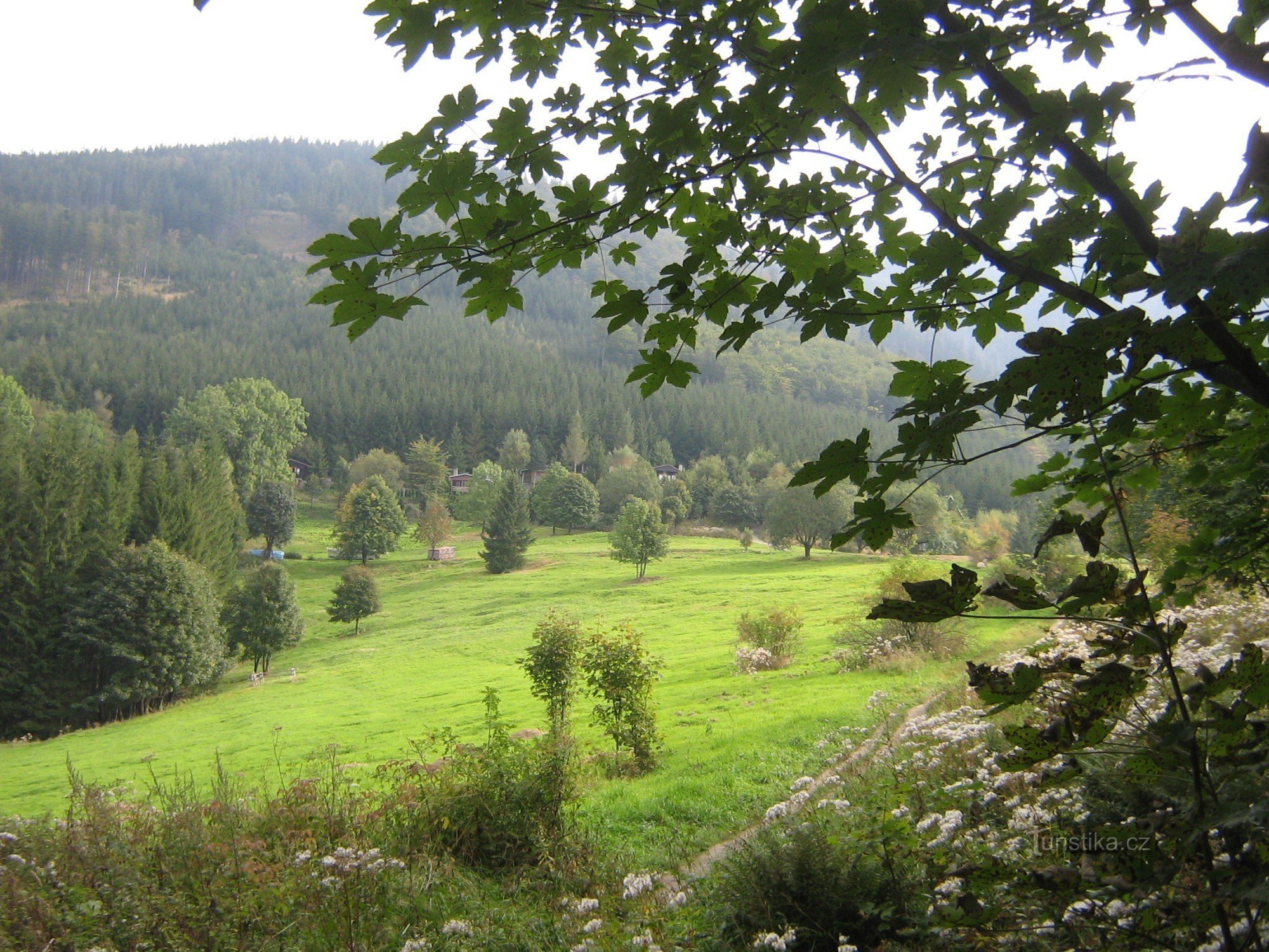 Cesta na  Lysou - planina na Butořance