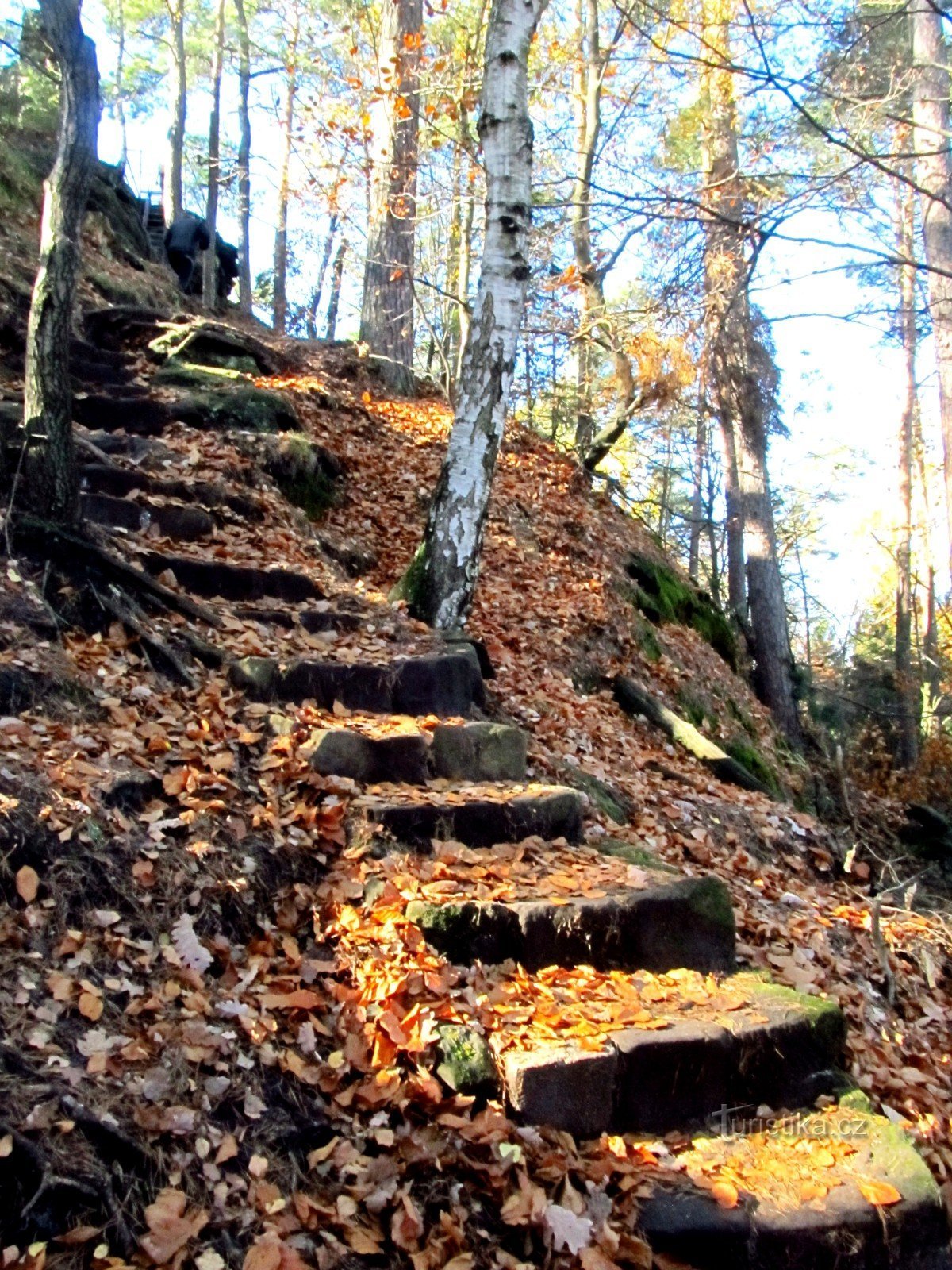 voyage à Mala Pravčická brána