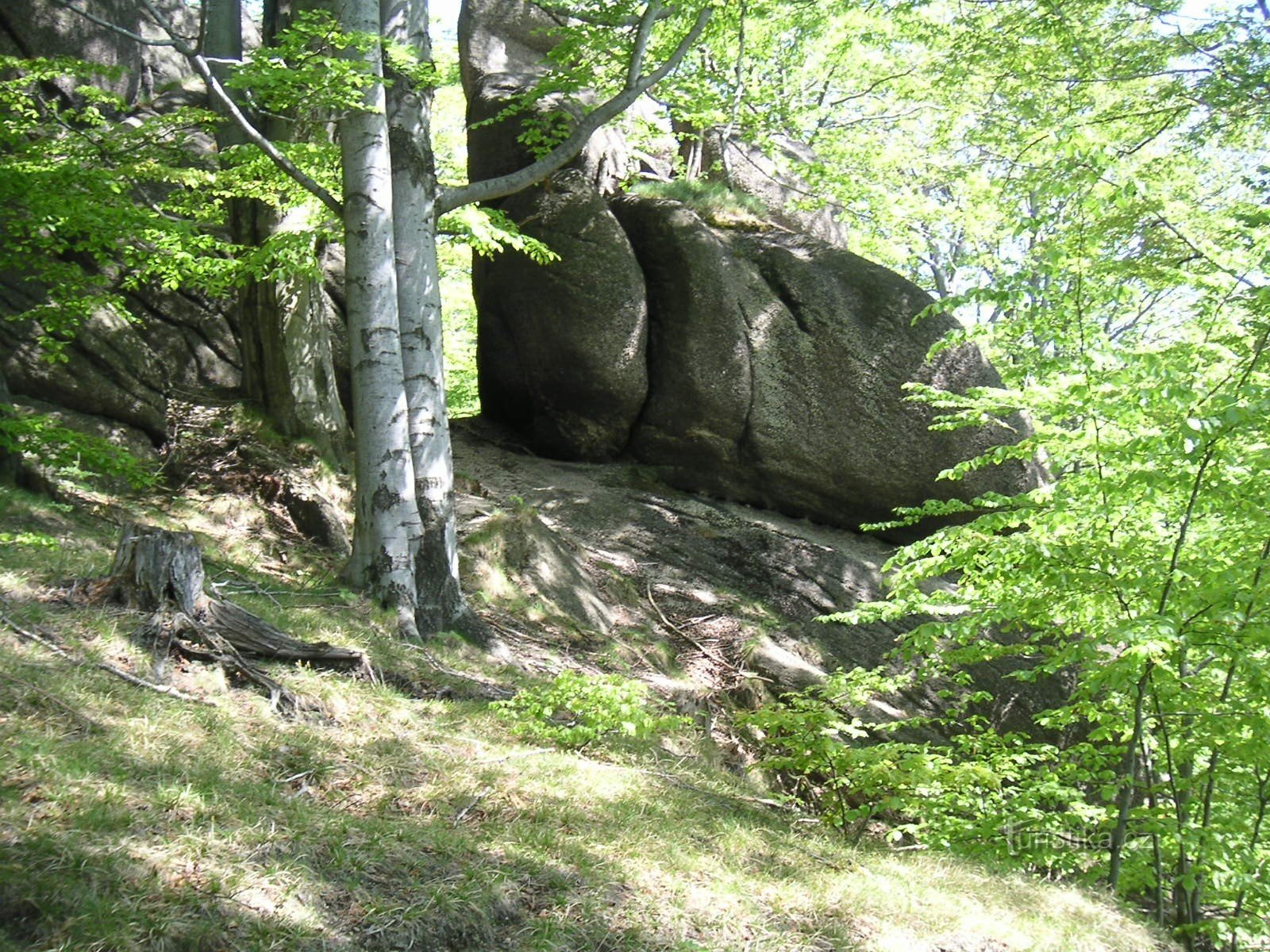 Caminho para o Meridiano de Oldřichovské sedlo (2)