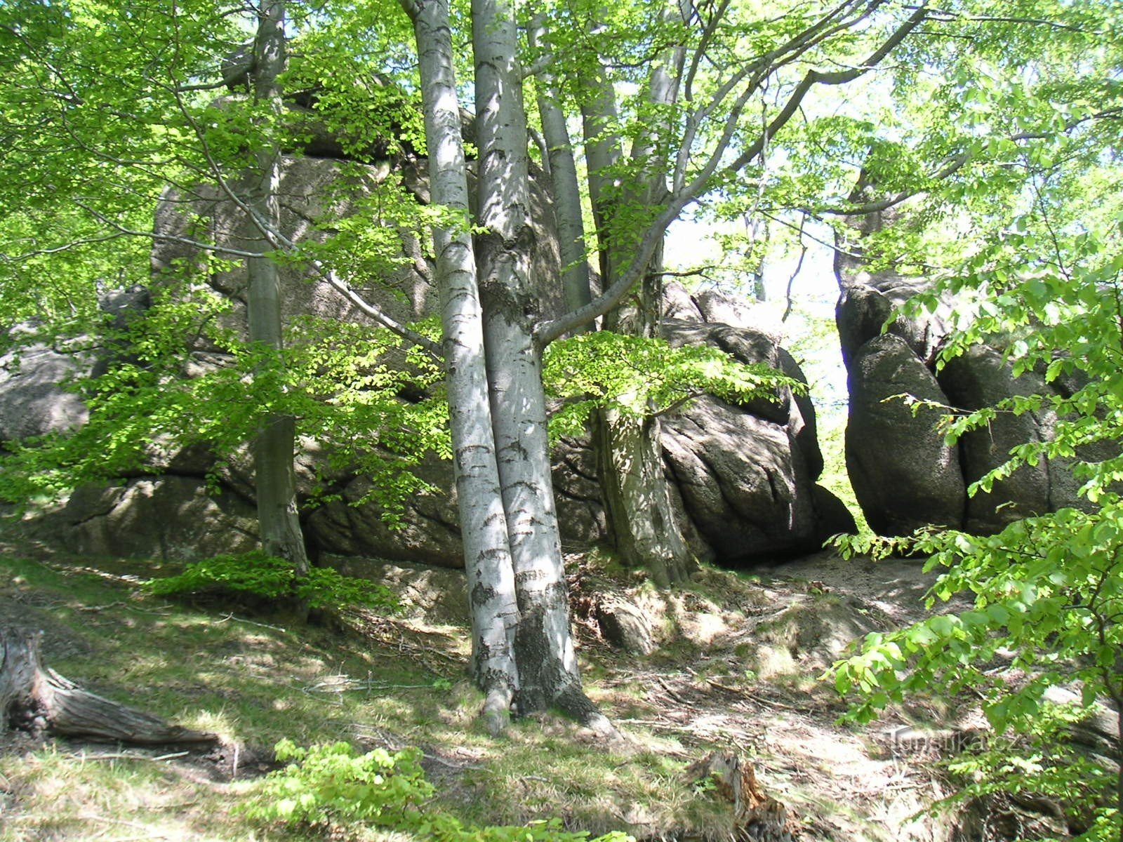 Chemin vers le méridien depuis Oldřichovské sedlo (3)