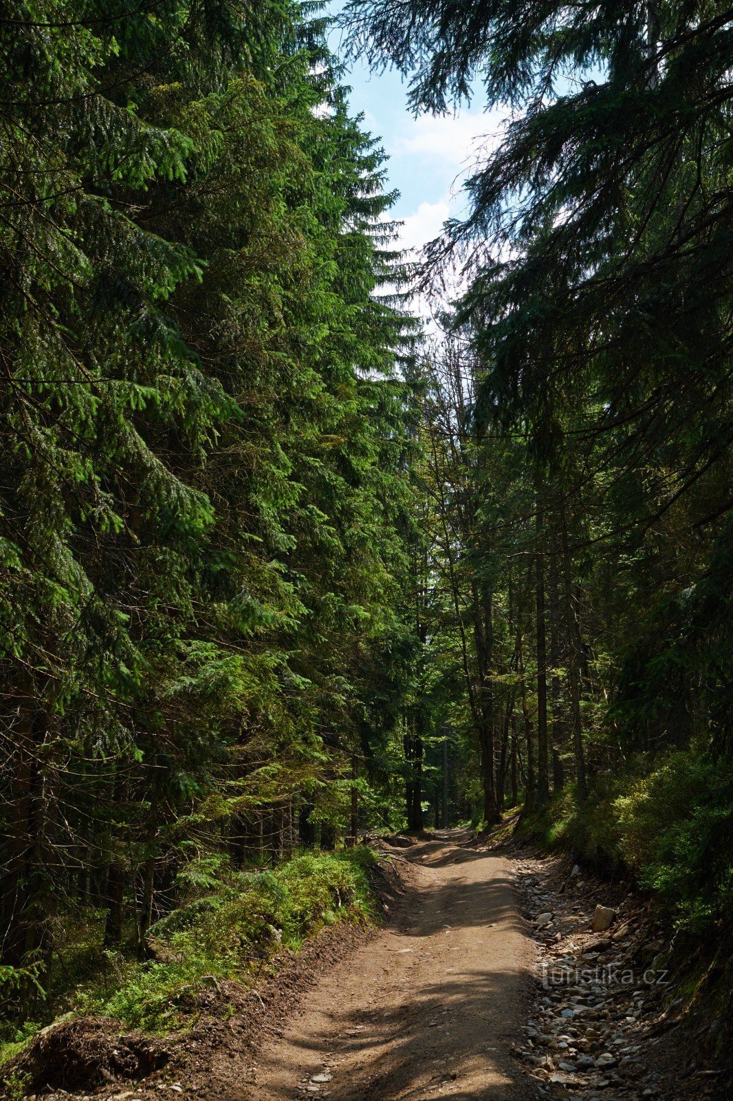 La route du lac Prášilské