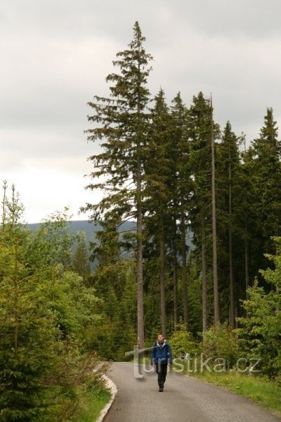 Route de Richterki