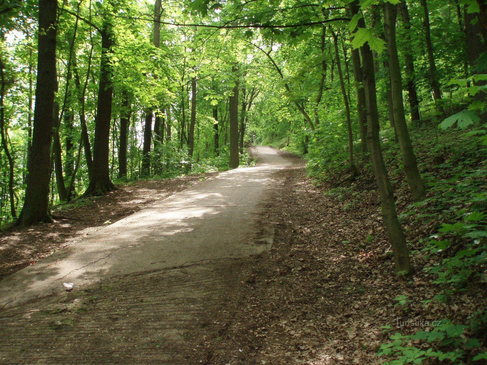 Camino a Říp