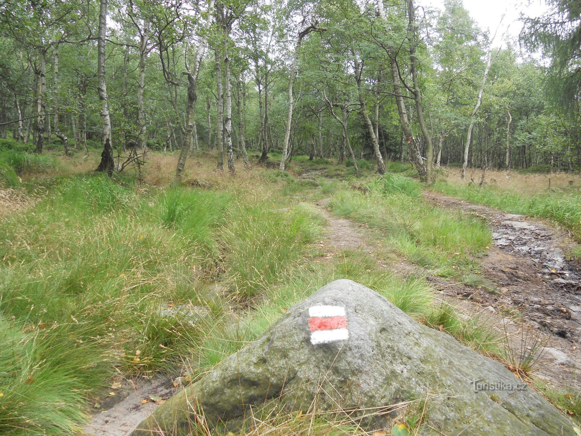 Le chemin vers la tour de guet.