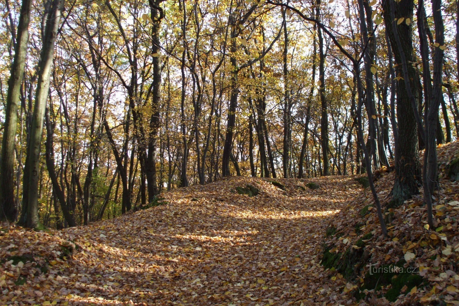 le chemin du hasard