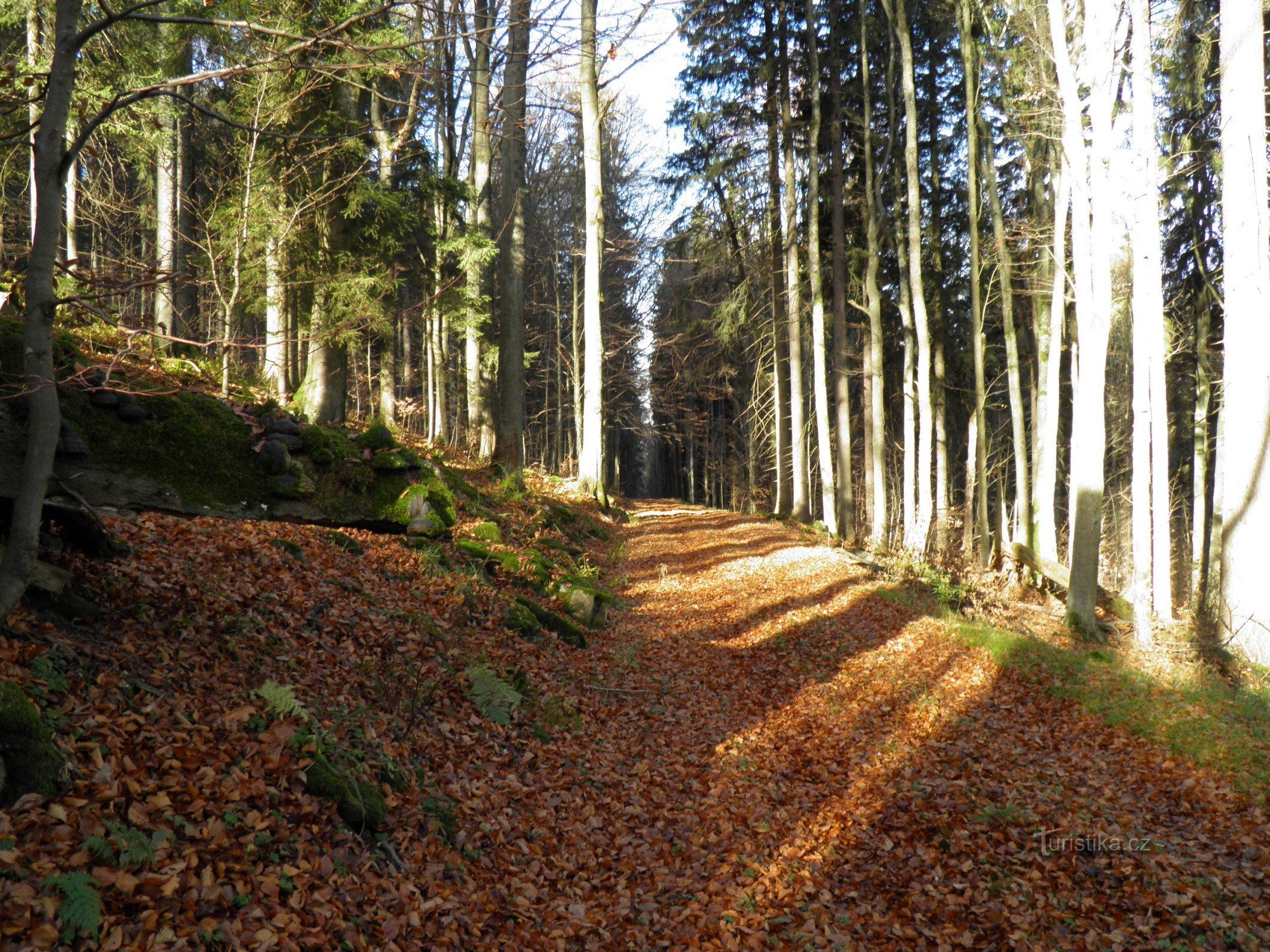 Estrada para Smrčina.