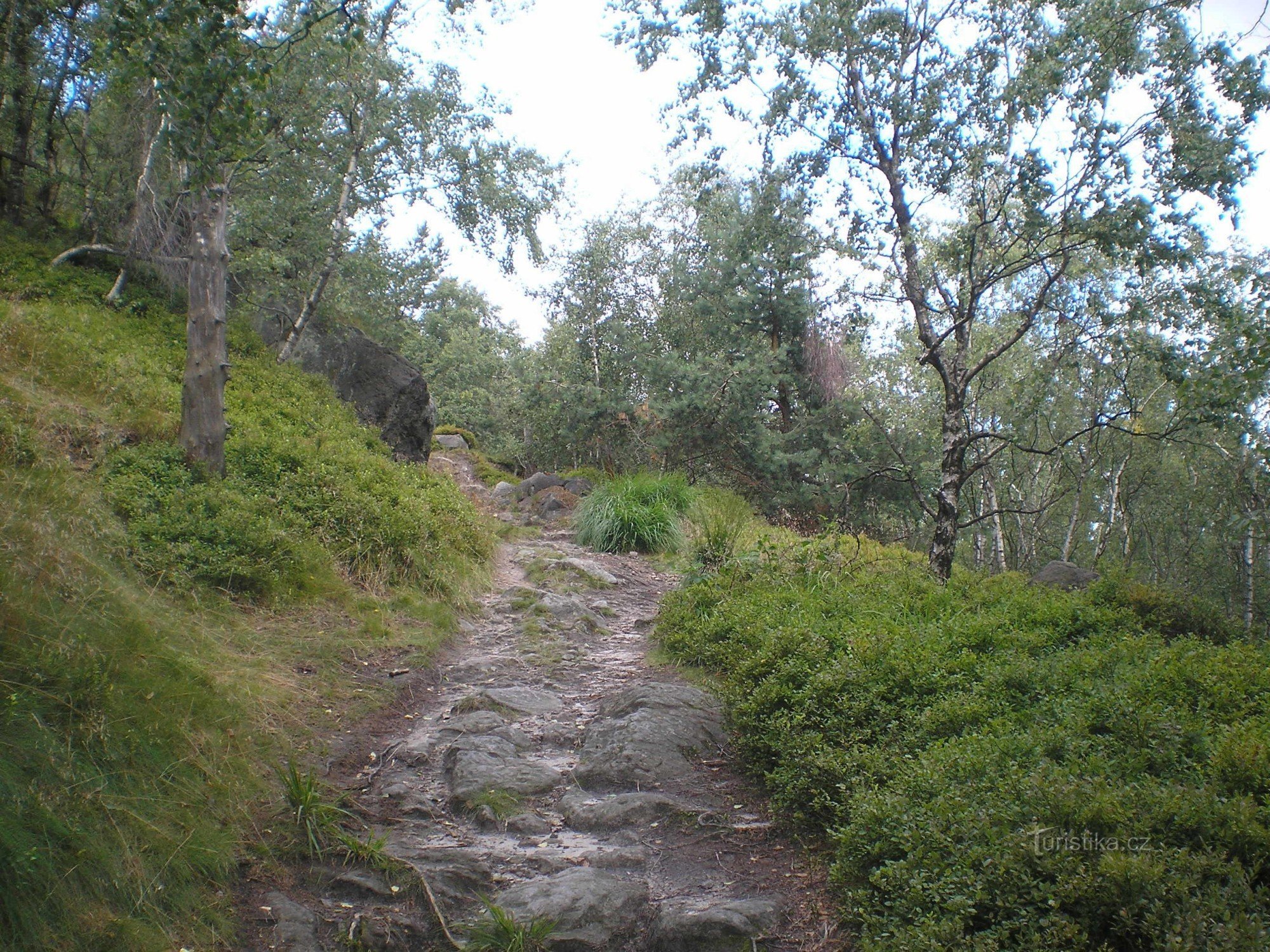 Estrada para Sněžník