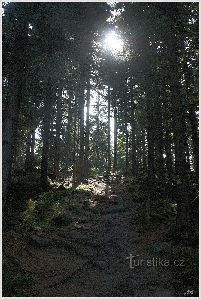 Der Weg zum Soví hrádek vom Aussichtspunkt Junácká