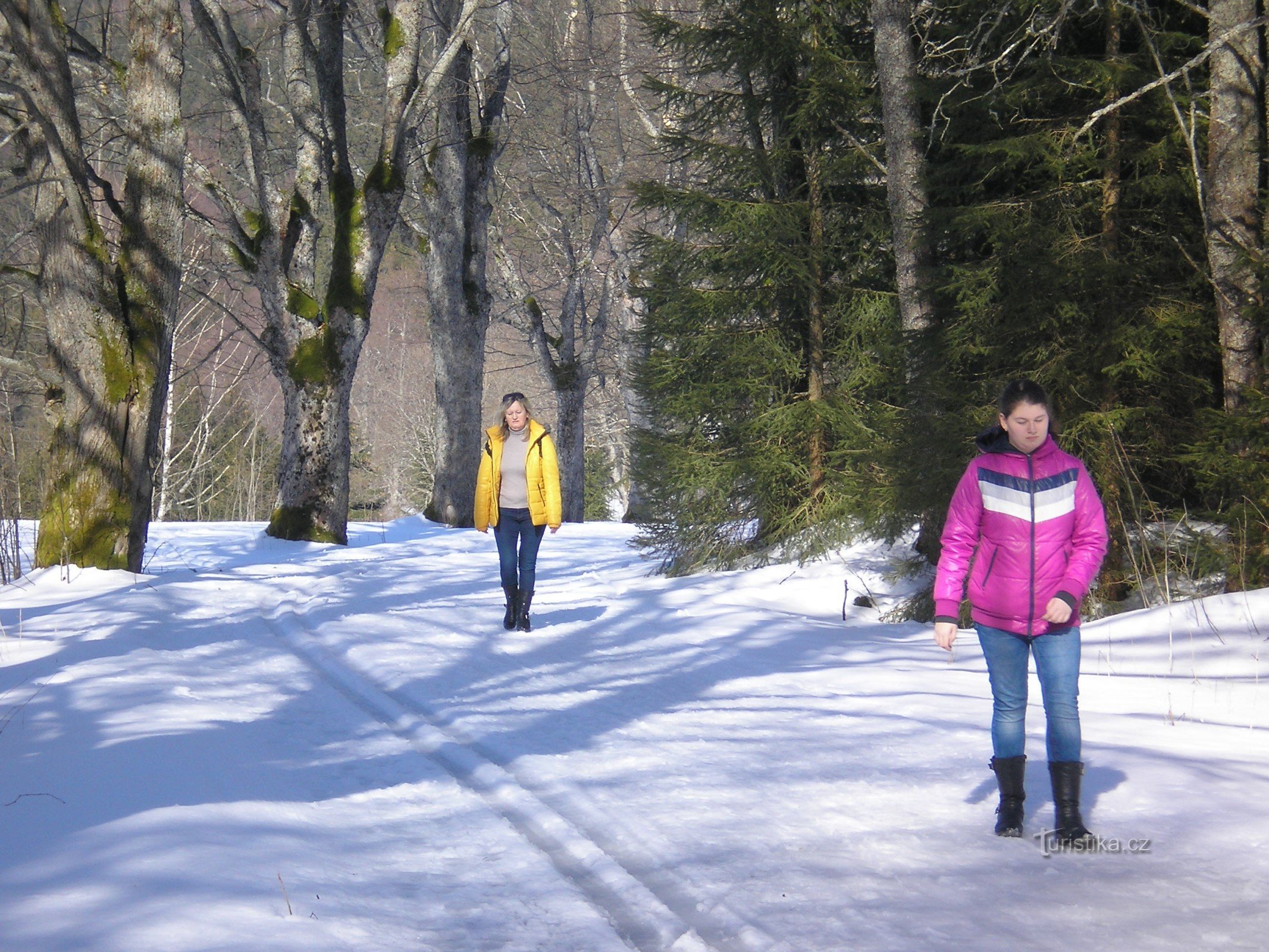 Der Weg nach Stará Hůrka entlang der ehemaligen Gasse