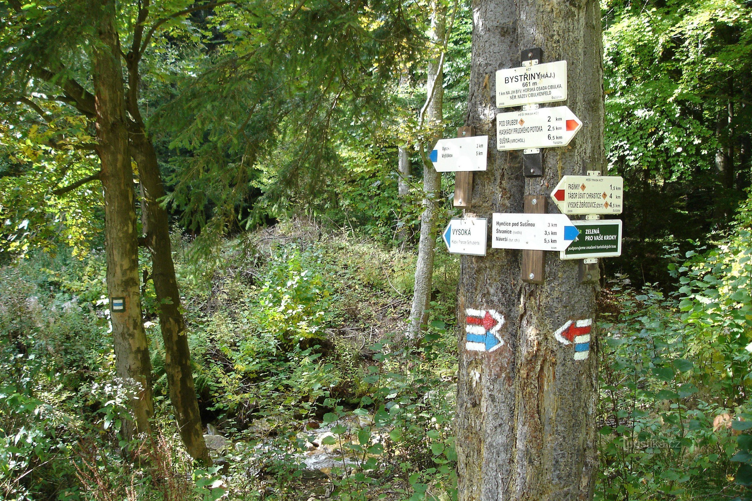 Route vers Sušina - Bystřiny