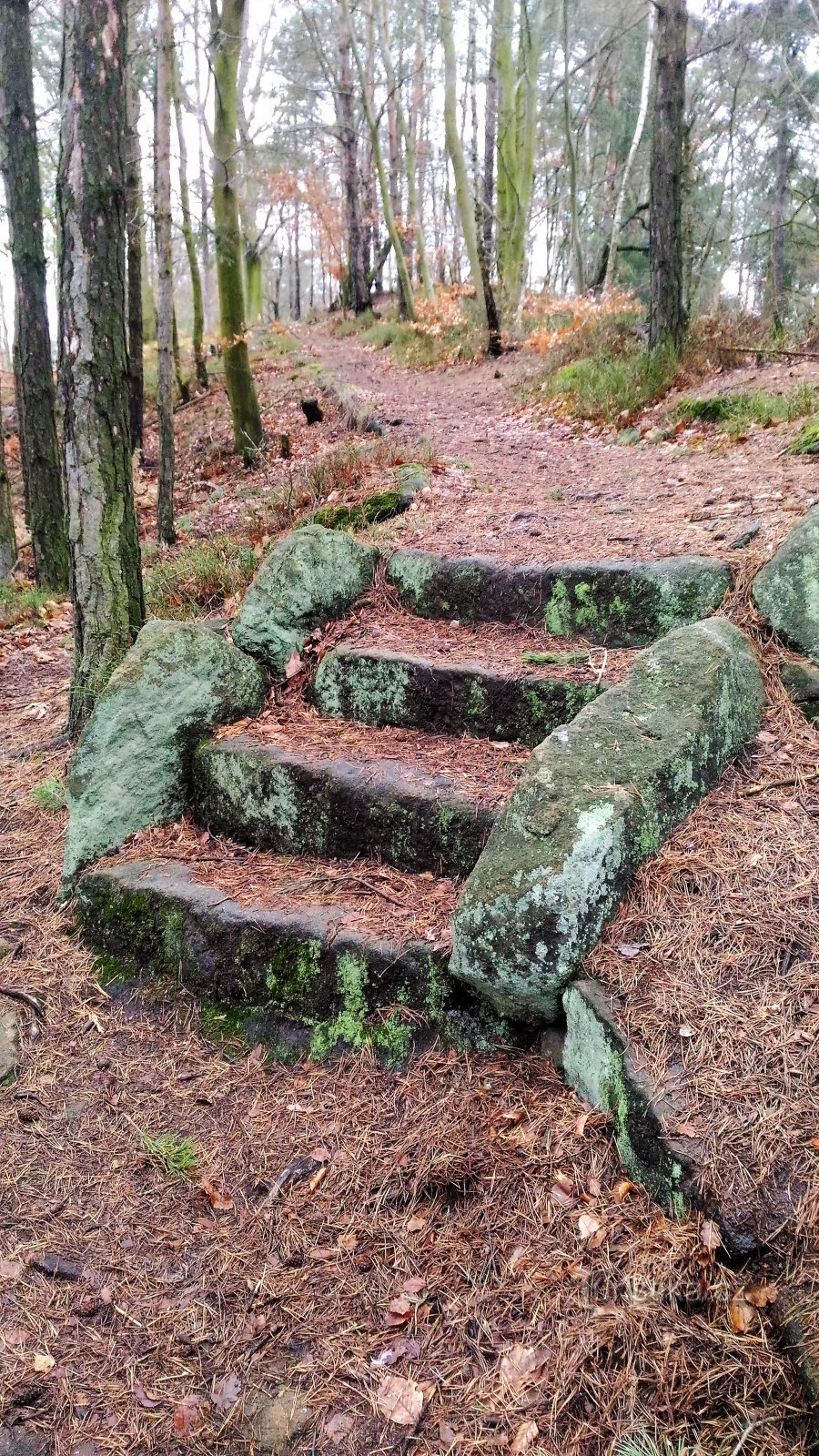 chemin vers le haut