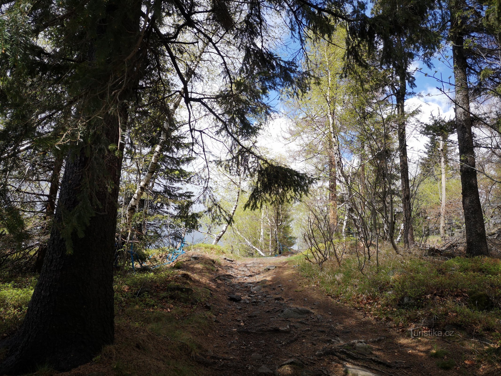 El camino a la cima de Špičák